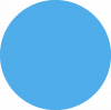 service1_blue_circle