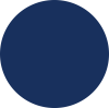 service1_navy_circle